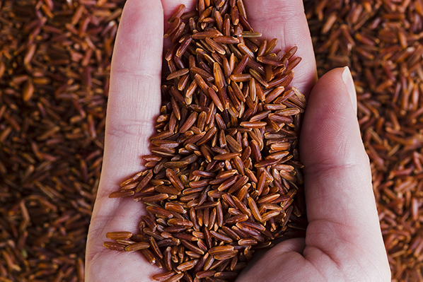 O impacto do uso de extrato de arroz vermelho fermentado na ocorrência de sintomas musculares e disfunção hepática: uma atualização dos sistemas de notificação de eventos adversos e meta-análises disponíveis