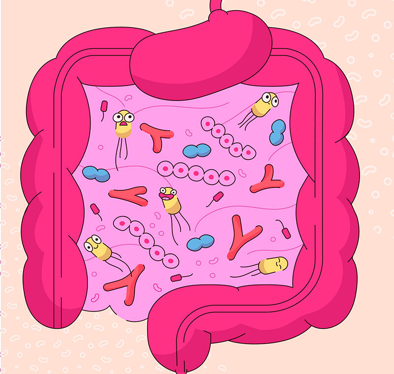 Uma revisão sistemática e meta-análise sobre a prevalência de distúrbios gastrointestinais orgânicos não malignos diagnosticados erroneamente como síndrome do intestino irritável